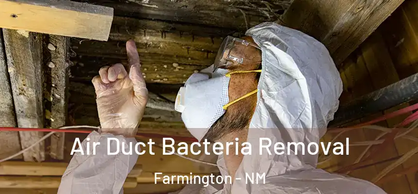  Air Duct Bacteria Removal Farmington - NM