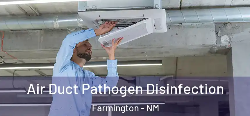 Air Duct Pathogen Disinfection Farmington - NM