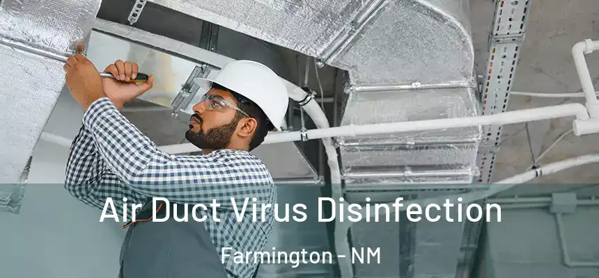  Air Duct Virus Disinfection Farmington - NM