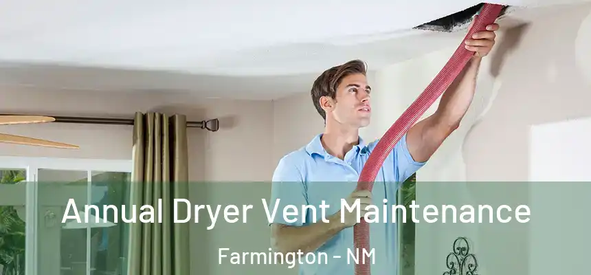  Annual Dryer Vent Maintenance Farmington - NM