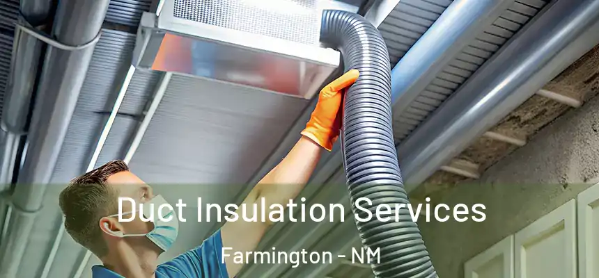 Duct Insulation Services Farmington - NM