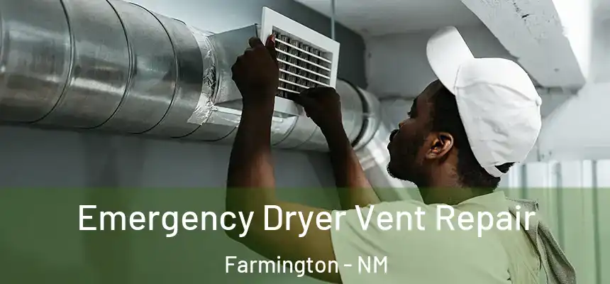  Emergency Dryer Vent Repair Farmington - NM