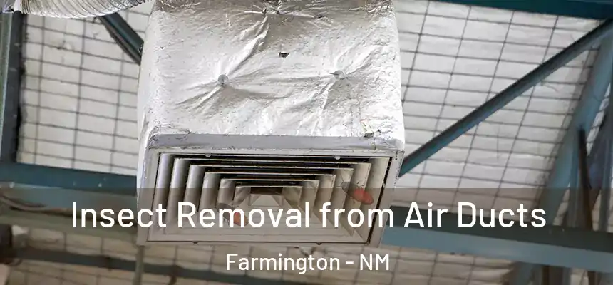  Insect Removal from Air Ducts Farmington - NM