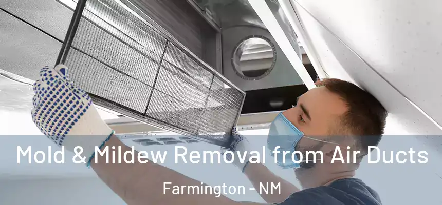  Mold & Mildew Removal from Air Ducts Farmington - NM