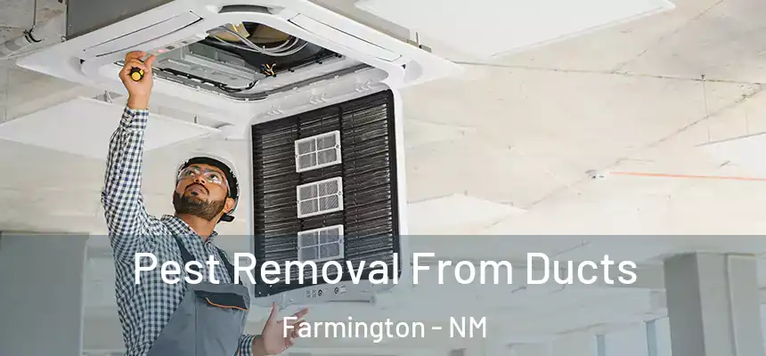  Pest Removal From Ducts Farmington - NM