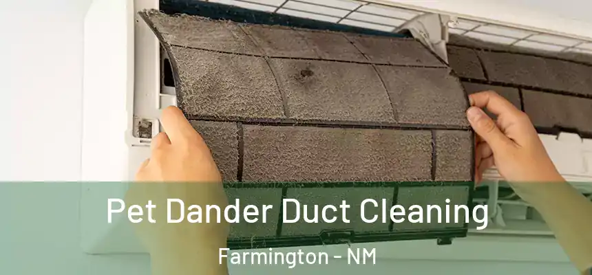 Pet Dander Duct Cleaning Farmington - NM