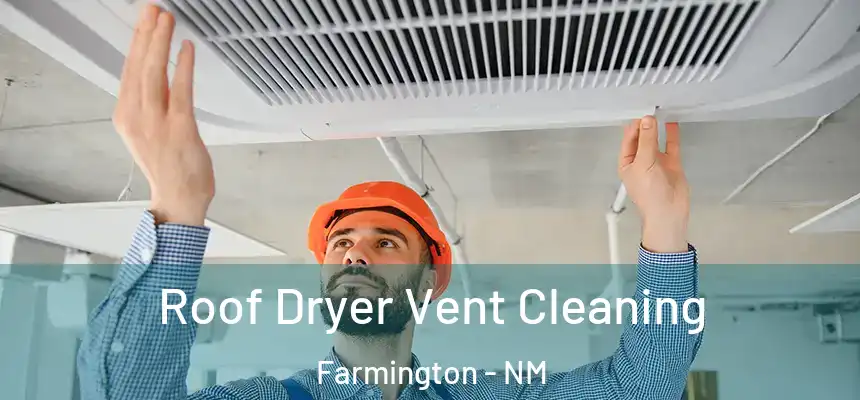 Roof Dryer Vent Cleaning Farmington - NM