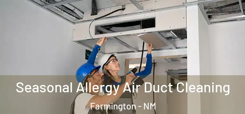  Seasonal Allergy Air Duct Cleaning Farmington - NM