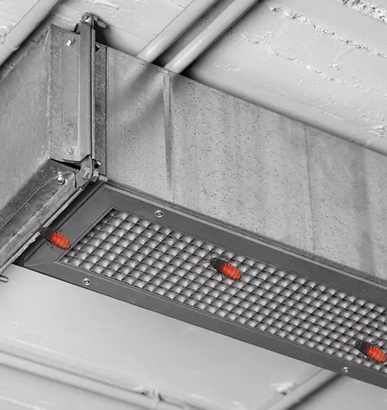 About Air Duct Cockroach Removal in Farmington, NM