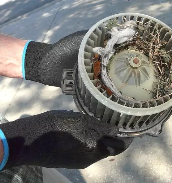 About Air Duct Mice Removal in Farmington, NM