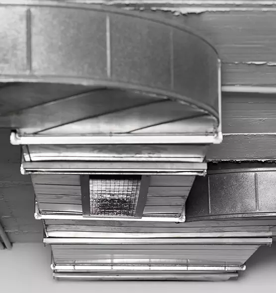 Professional Air Duct Pest Removal in Farmington, NM