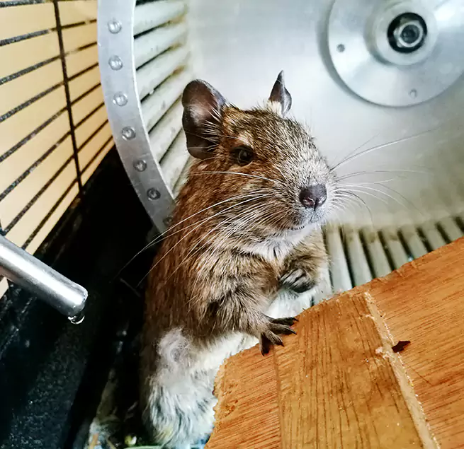 Why Homeowners & Businesses Trust Us Farmington, NM